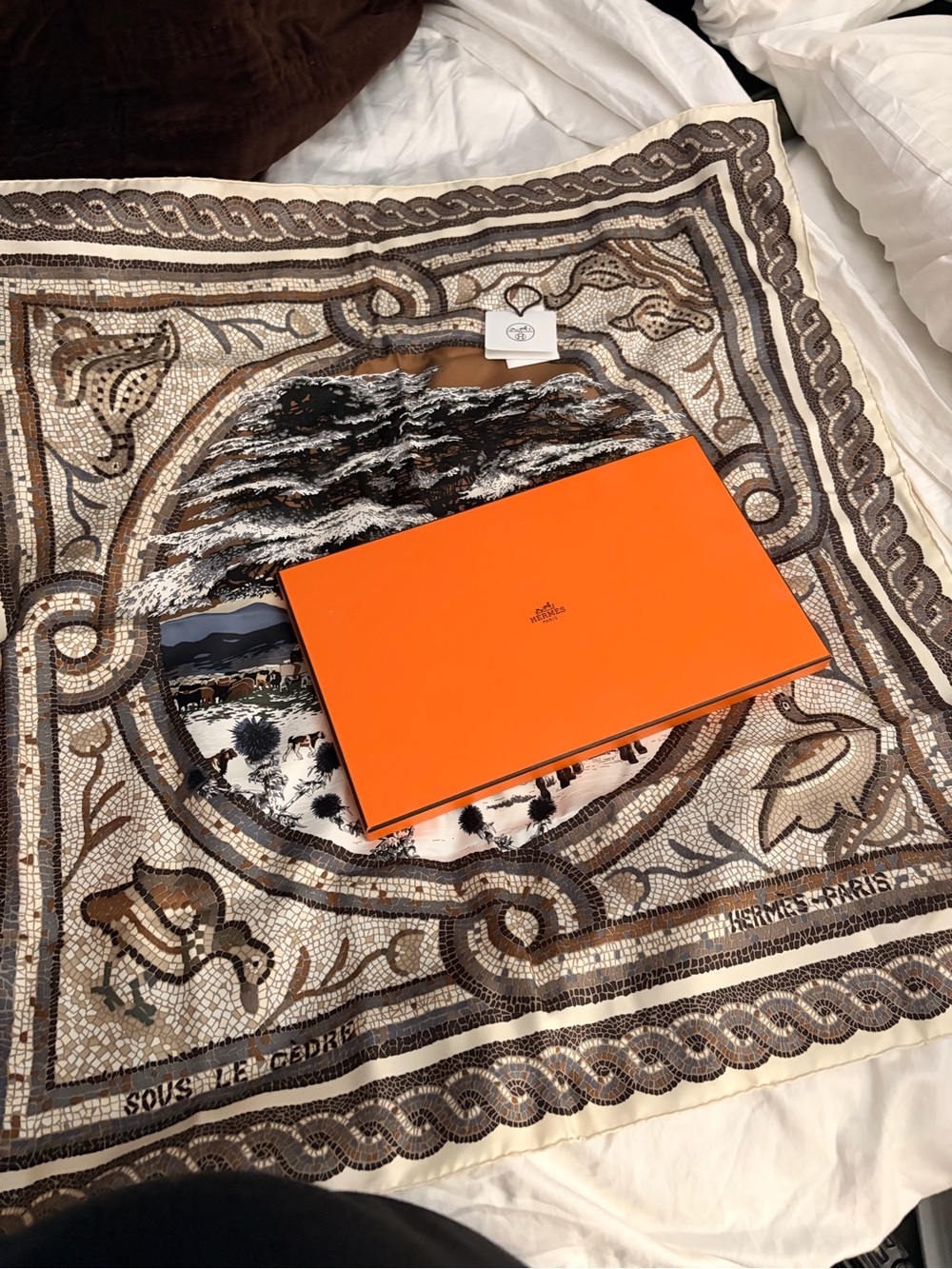 Hermes,authentic Hermès "Sous Le Cèdre" silk scarf designed by Dimitri Rybaltche